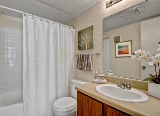 Northridge Court Apartments Bathroom Apartment for rent in Midland, TX