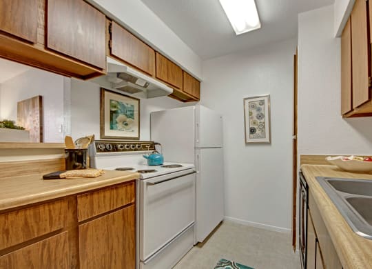 Northridge Court Apartments Kitchen Apartment for rent in Midland, TX