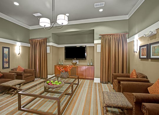 The Palms at Briarwood Lounge Apartment near Odessa, TX