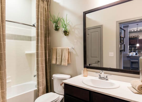 Sorrel Fairview Bathroom Apartments in Fairview, TX