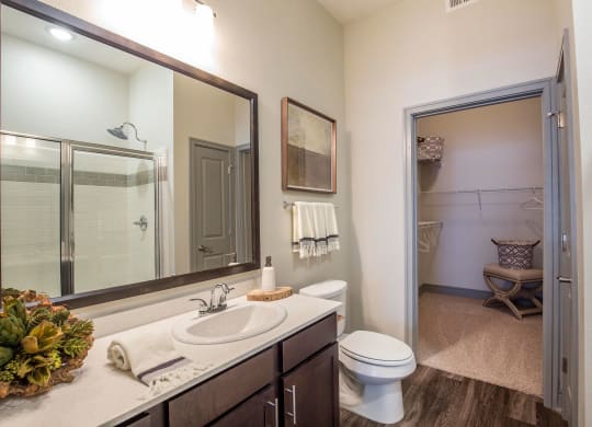Sorrel Fairview Bathroom Apartments near Dallas, Texas
