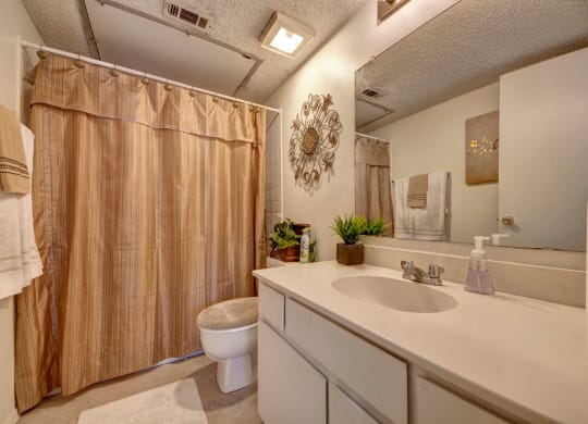 Summertree Place Bathroom Apartment for rent in Odessa, TX