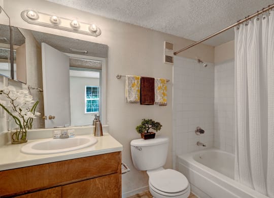 The Bradford Apartment Homes - Bathroom Apartment rental near Odesssa, TX