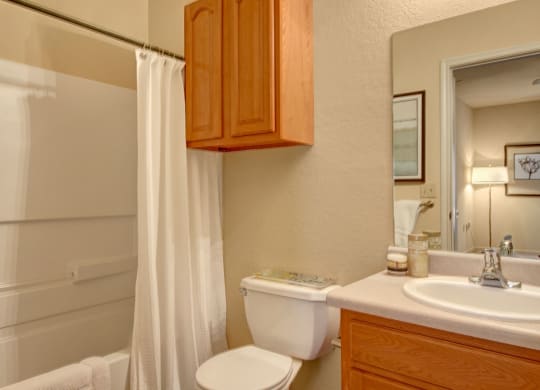 Residence at Heritage Park Bathroom Abilene Apartments