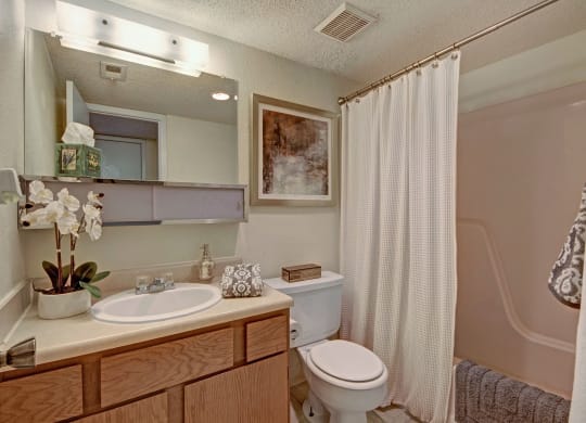 Trinity Place Bathroom Midland Texas Apartment
