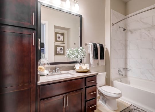 Waterford Market Apartments Bathroom Apartment for rent near DFW