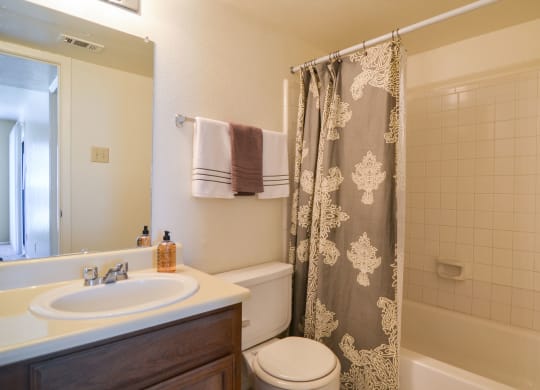 Wildflower Bathroom Midland Texas Apartment
