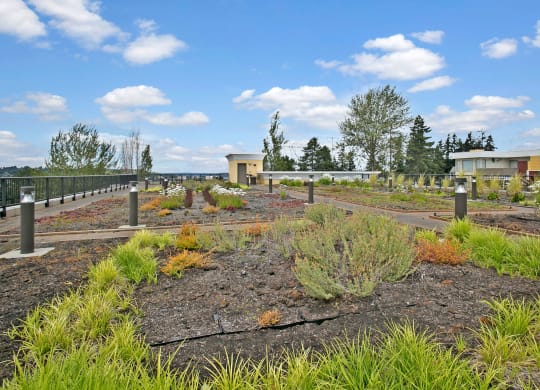 Heritage Hills rooftop garden Apartments in Renton, WA