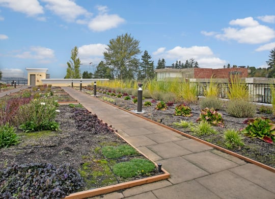 Heritage Hill Rooftop Apartments in Renton, WA
