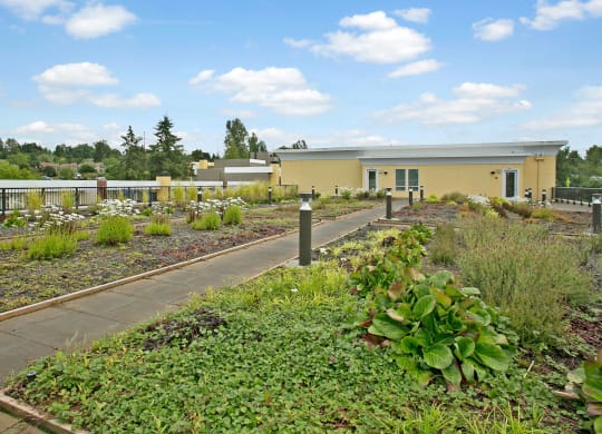 Heritage Hills rooftop garden Apartments in Renton, WA