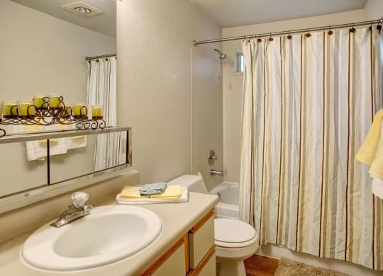 Heron View Bathroom Apartments in Kenmore, WA