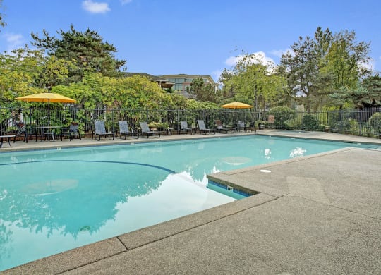 Lakeside outdoor pool and lounge chairs, Dean Weidner Real Estate Apartments in Mountlake Terrace, WA