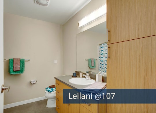 Leilani @ 107 bathroom Apartments in Seattle, WA