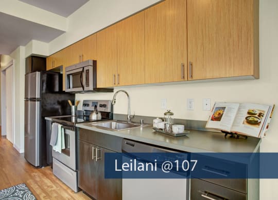 Leilani @ 107 kitchen Apartments in Seattle, WA