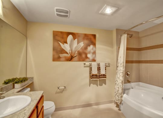 The Artiste Bathroom Apartments in Shoreline, WA