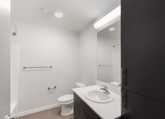 Vive Bathroom Apartments in Seattle, WA