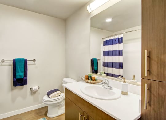Vive Bathroom Apartments in Seattle, WA