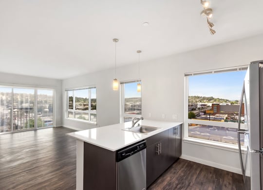 Vive Kitchen Apartments in Seattle, WA