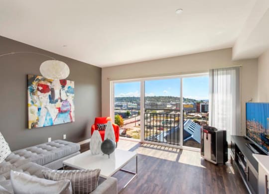 Vive Living Room Apartments in Seattle, WA