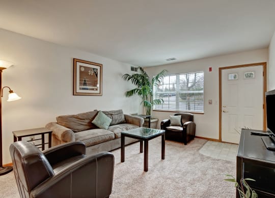 Cozy living room at Arbor Ridge Apartments with a large beige sofa, green cushions, leather armchairs, and a glass coffee table. A lamp and potted plant add warmth near the window.