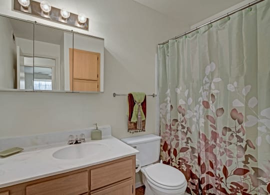 Small bathroom with marble countertop, wooden cabinets, and a mirrored medicine cabinet. A floral shower curtain adds a touch of elegance at St. James Place Apartments.