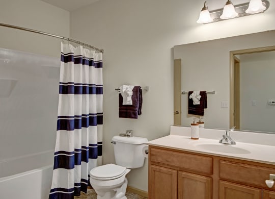 Swan Creek Bathroom Apartments in Fitchburg, Wisconsin