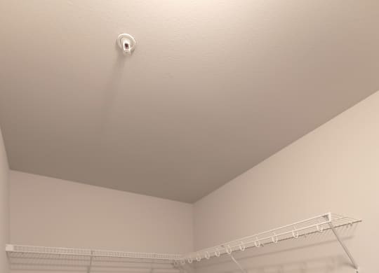 The Park Walk-In Closet
