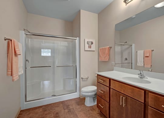 Unit Bathroom at The Vue at Pinnacle Peak Apartment Homes