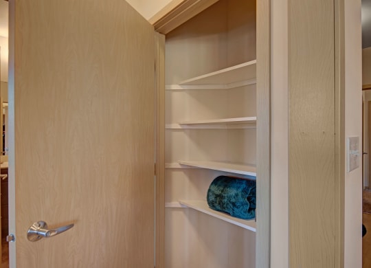 Unit Linen Closet at The Vue at Pinnacle Peak Apartment Homes Apartments in Fitchburg, WI