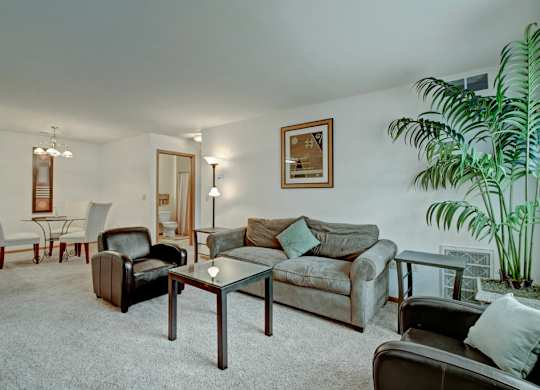 A living room with a couch, chairs, and a potted plant.