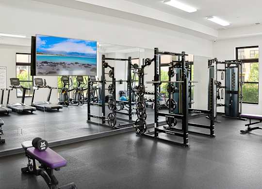 A gym with a purple bench and a television screen showing a beach.