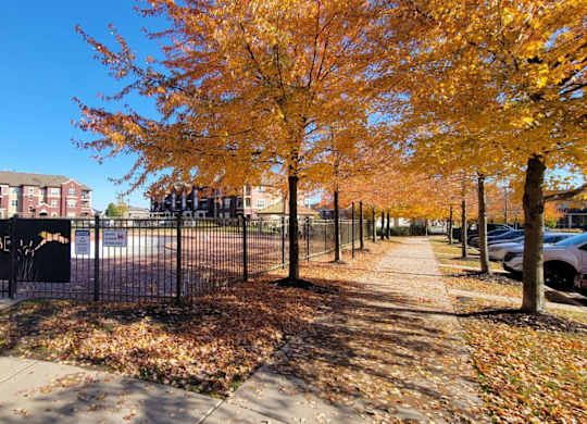 A scenic sidewalk here at Van Buren Place lined with mature trees and vibrant seasonal foliage. A nearby pool area and surrounding apartment buildings create a peaceful, welcoming neighborhood atmosphere.