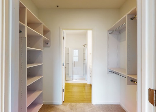 Vim & Vigor Lofts - closet
