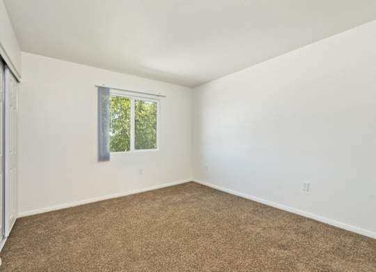 A room with a window and carpeted floor.