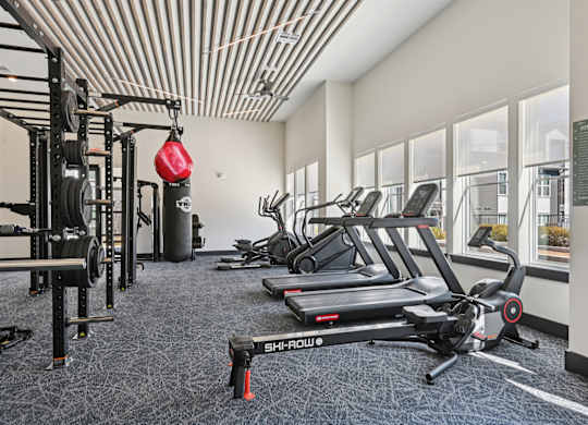 A gym with a variety of equipment including a treadmill, weight rack, and a red punching bag.