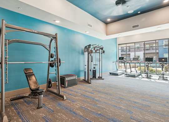 A gym with a variety of equipment including a weight bench, a squat rack, and a treadmill.