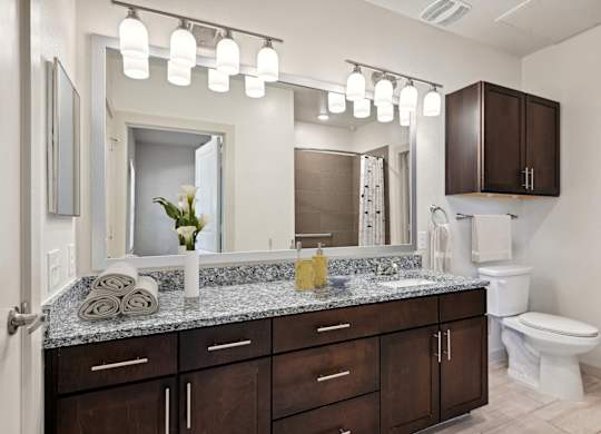 a bathroom with a vanity and a toilet and a mirror
