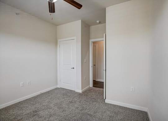 Bedroom with plush carpet, ceiling fan, and doorway to hall.