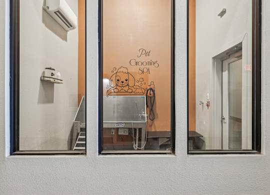 A window with a view of a room with a dog and a cat on the wall.