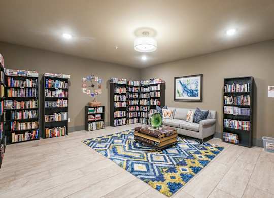A room with a couch, bookshelves, and a rug.