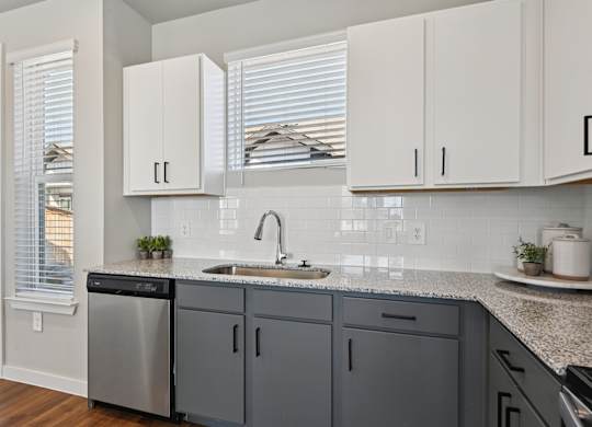 A kitchen with a stainless steel dishwasher and grey cabinets.