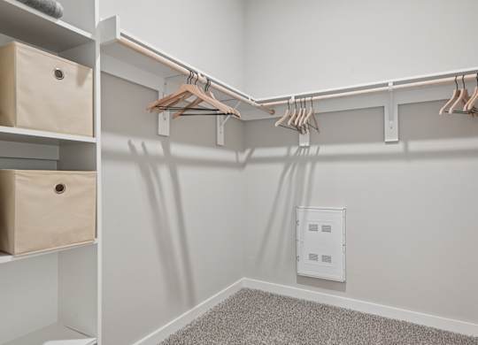 A white closet with a grey carpet and a white electrical outlet.