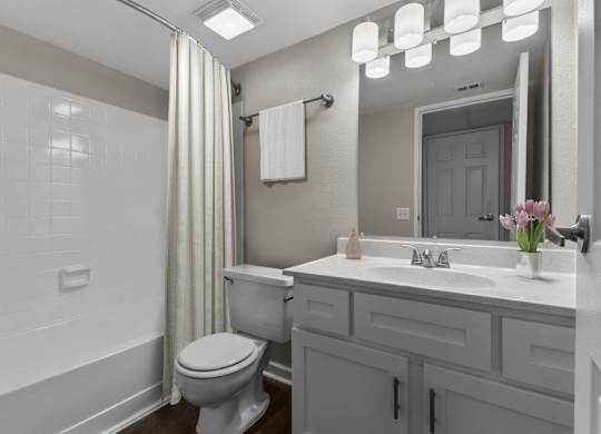a bathroom with a toilet sink and shower and a mirror