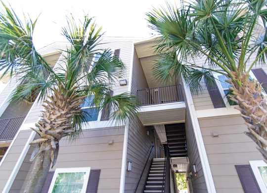 Palm trees in front of a building with a staircase.