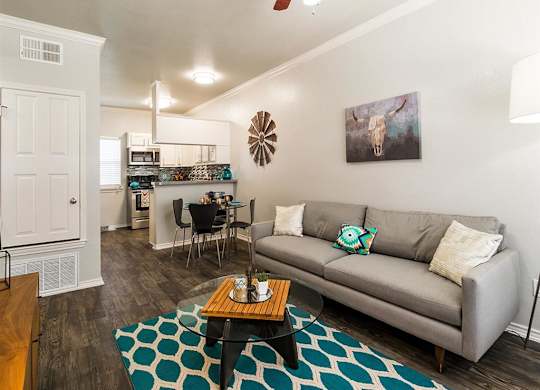 A living room with a grey couch and a blue and white rug.