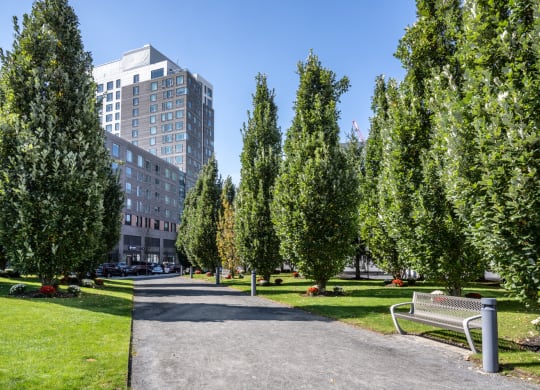 Boston Landing - Building with trees and walkway in Allston, MA