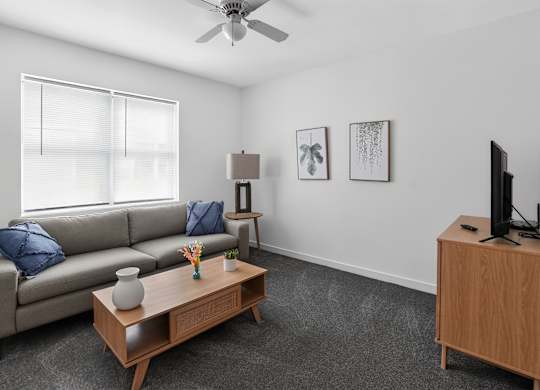 A living room with a grey couch, a wooden coffee table, a television, and a ceiling fan.