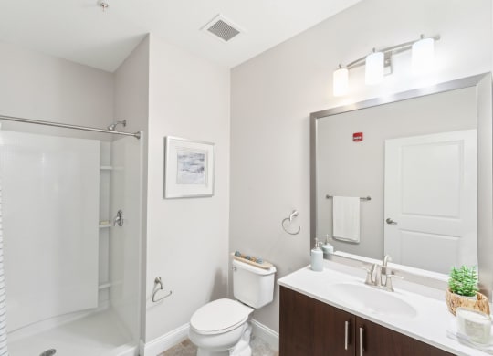 a bathroom with a shower sink and toilet and a mirror at The Tannery, Connecticut, 06033