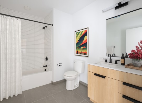 a bathroom with a shower toilet and a sink