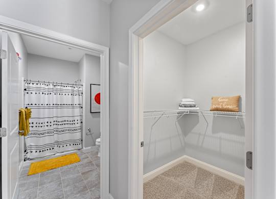 A bathroom with a walk-in shower and a small closet.